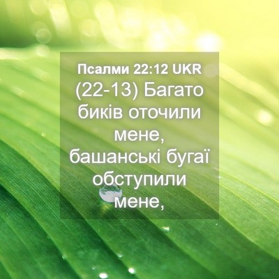 Picture 04 - Псалми 22:12 UKR - (22-13) Багато биків оточили - Bible Verse Picture