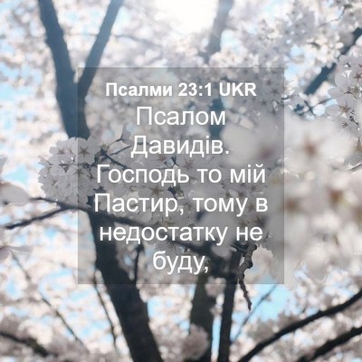 Picture 04 - Псалми 23:1 UKR - Псалом Давидів. Господь то - Bible Verse Picture