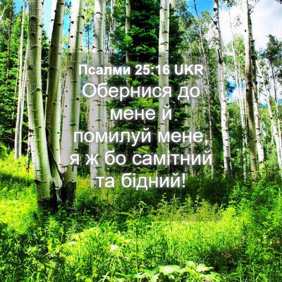 Picture 04 - Псалми 25:16 UKR - Обернися до мене й помилуй - Bible Verse Picture