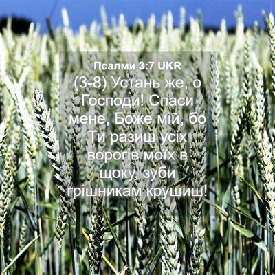Picture 04 - Псалми 3:7 UKR - (3-8) Устань же, о Господи! - Bible Verse Picture