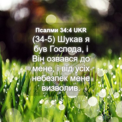 Picture 04 - Псалми 34:4 UKR - (34-5) Шукав я був Господа, і - Bible Verse Picture