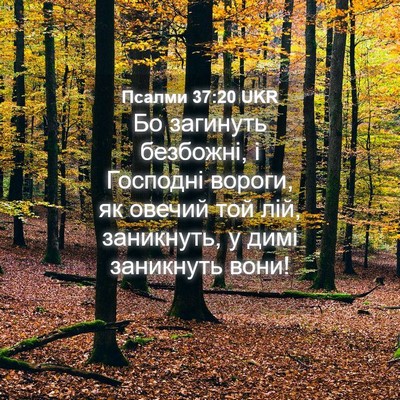 Picture 04 - Псалми 37:20 UKR - Бо загинуть безбожні, і - Bible Verse Picture