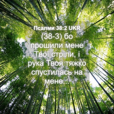 Picture 04 - Псалми 38:2 UKR - (38-3) бо прошили мене Твої - Bible Verse Picture