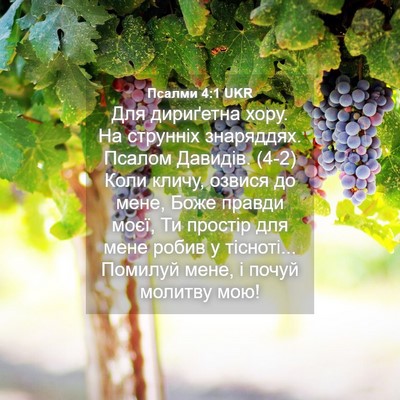 Picture 04 - Псалми 4:1 UKR - Для дириґетна хору. На - Bible Verse Picture