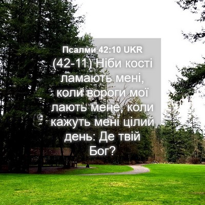 Picture 04 - Псалми 42:10 UKR - (42-11) Ніби кості ламають - Bible Verse Picture