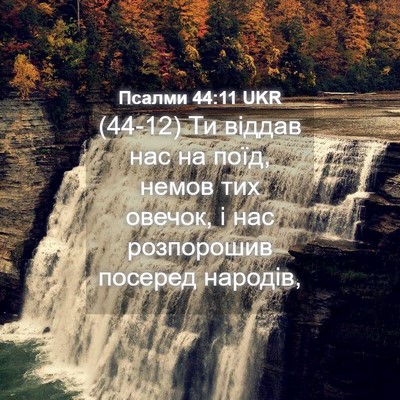 Picture 04 - Псалми 44:11 UKR - (44-12) Ти віддав нас на поїд, - Bible Verse Picture