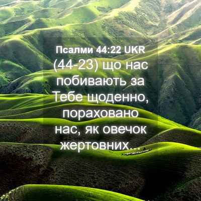 Picture 04 - Псалми 44:22 UKR - (44-23) що нас побивають за - Bible Verse Picture