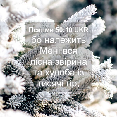 Picture 04 - Псалми 50:10 UKR - бо належить Мені вся лісна - Bible Verse Picture