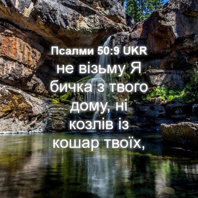 Picture 04 - Псалми 50:9 UKR - не візьму Я бичка з твого - Bible Verse Picture