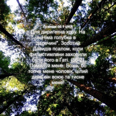 Picture 04 - Псалми 56:1 UKR - Для дириґетна хору. На - Bible Verse Picture