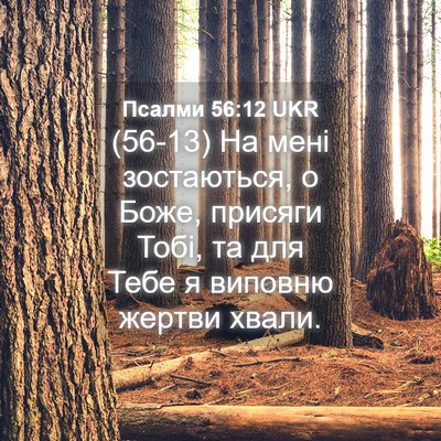 Picture 04 - Псалми 56:12 UKR - (56-13) На мені зостаються, о - Bible Verse Picture