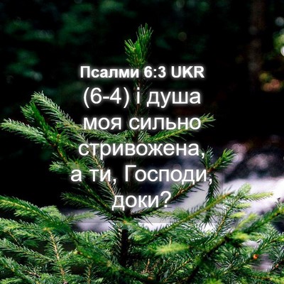 Picture 04 - Псалми 6:3 UKR - (6-4) і душа моя сильно - Bible Verse Picture