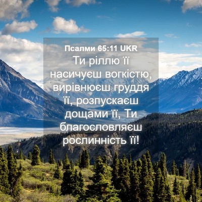 Picture 04 - Псалми 65:11 UKR - Ти ріллю її насичуєш - Bible Verse Picture