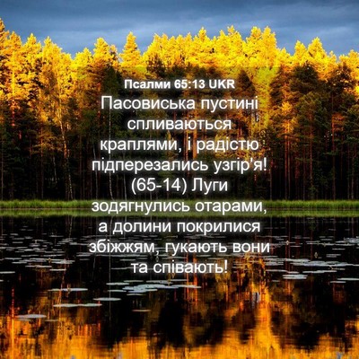 Picture 04 - Псалми 65:13 UKR - Пасовиська пустині - Bible Verse Picture