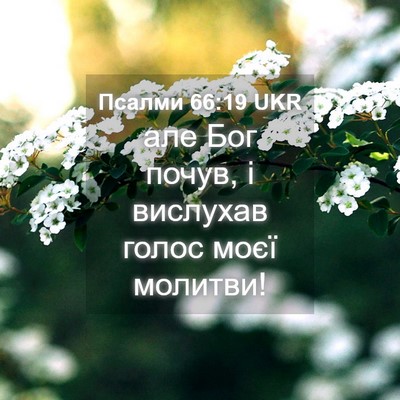 Picture 04 - Псалми 66:19 UKR - але Бог почув, і вислухав - Bible Verse Picture