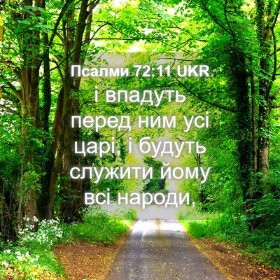 Picture 04 - Псалми 72:11 UKR - і впадуть перед ним усі - Bible Verse Picture
