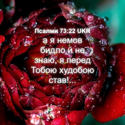 Picture 04 - Псалми 73:22 UKR - а я немов бидло й не знаю, я - Bible Verse Picture