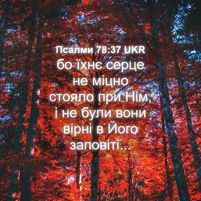 Picture 04 - Псалми 78:37 UKR - бо їхнє серце не міцно - Bible Verse Picture