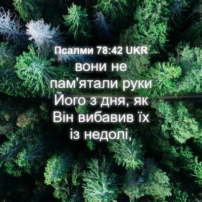Picture 04 - Псалми 78:42 UKR - вони не пам'ятали руки Його - Bible Verse Picture