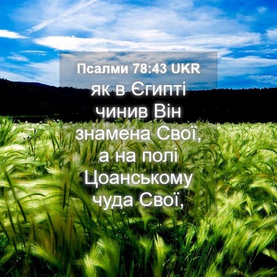 Picture 04 - Псалми 78:43 UKR - як в Єгипті чинив Він - Bible Verse Picture
