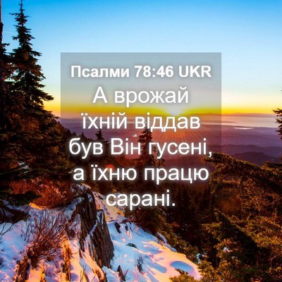Picture 04 - Псалми 78:46 UKR - А врожай їхній віддав був - Bible Verse Picture
