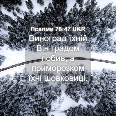 Picture 04 - Псалми 78:47 UKR - Виноград їхній Він градом - Bible Verse Picture