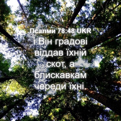 Picture 04 - Псалми 78:48 UKR - і Він градові віддав їхній - Bible Verse Picture