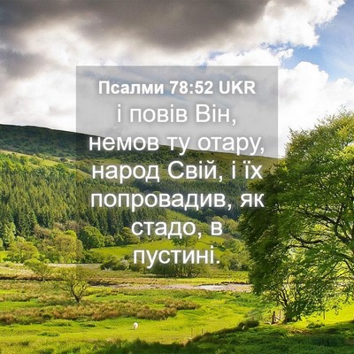 Picture 04 - Псалми 78:52 UKR - і повів Він, немов ту отару, - Bible Verse Picture