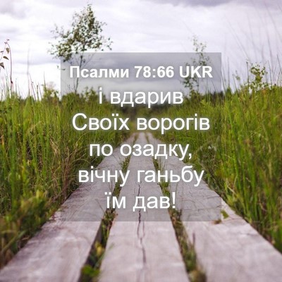 Picture 04 - Псалми 78:66 UKR - і вдарив Своїх ворогів по - Bible Verse Picture