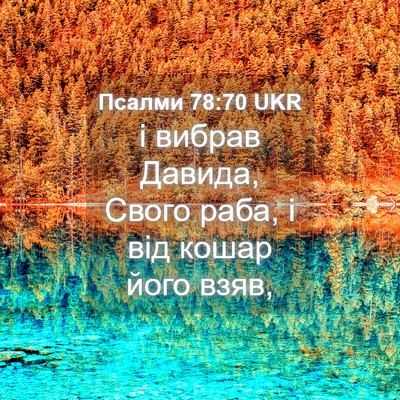 Picture 04 - Псалми 78:70 UKR - і вибрав Давида, Свого - Bible Verse Picture