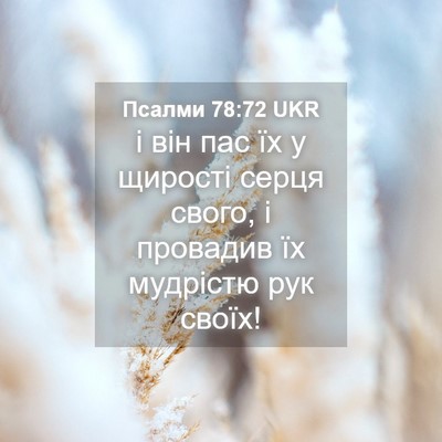 Picture 04 - Псалми 78:72 UKR - і він пас їх у щирості - Bible Verse Picture