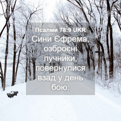 Picture 04 - Псалми 78:9 UKR - Сини Єфрема, озброєні - Bible Verse Picture
