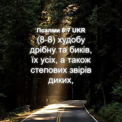 Picture 04 - Псалми 8:7 UKR - (8-8) худобу дрібну та биків, - Bible Verse Picture