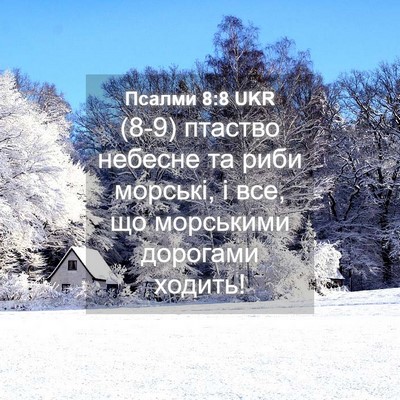 Picture 04 - Псалми 8:8 UKR - (8-9) птаство небесне та риби - Bible Verse Picture