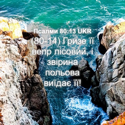 Picture 04 - Псалми 80:13 UKR - (80-14) Гризе її вепр лісовий, - Bible Verse Picture