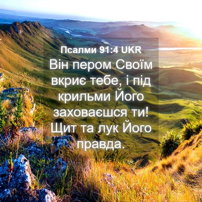 Picture 04 - Псалми 91:4 UKR - Він пером Своїм вкриє тебе, - Bible Verse Picture