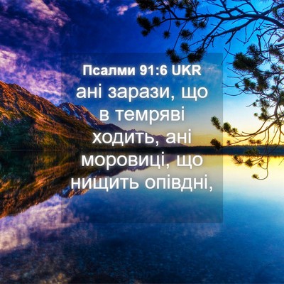 Picture 04 - Псалми 91:6 UKR - ані зарази, що в темряві - Bible Verse Picture