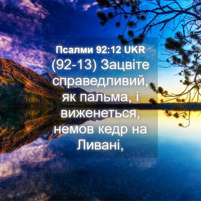 Picture 04 - Псалми 92:12 UKR - (92-13) Зацвіте справедливий, - Bible Verse Picture