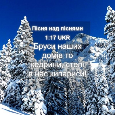 Picture 04 - Пісня над піснями 1:17 UKR - Бруси наших домів то - Bible Verse Picture