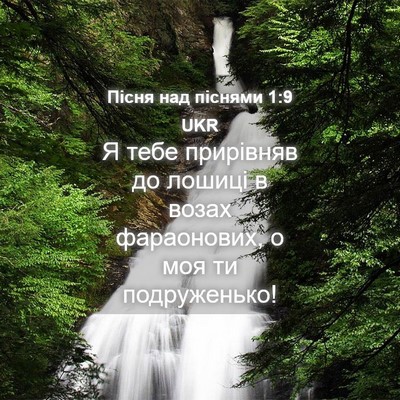 Picture 04 - Пісня над піснями 1:9 UKR - Я тебе прирівняв до лошиці - Bible Verse Picture