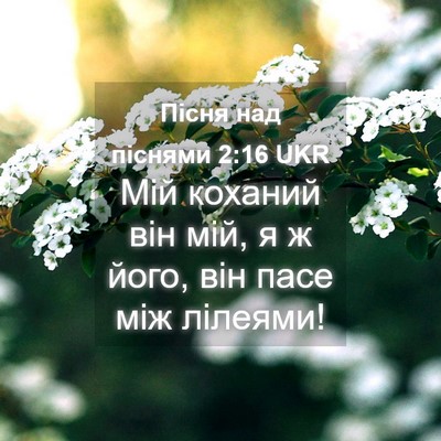 Picture 04 - Пісня над піснями 2:16 UKR - Мій коханий він мій, я ж - Bible Verse Picture