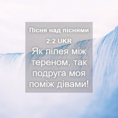 Picture 04 - Пісня над піснями 2:2 UKR - Як лілея між тереном, так - Bible Verse Picture
