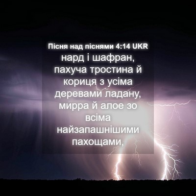 Picture 04 - Пісня над піснями 4:14 UKR - нард і шафран, пахуча - Bible Verse Picture