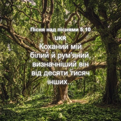 Picture 04 - Пісня над піснями 5:10 UKR - Коханий мій білий й - Bible Verse Picture