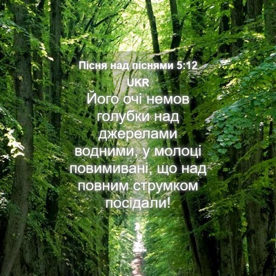 Picture 04 - Пісня над піснями 5:12 UKR - Його очі немов голубки над - Bible Verse Picture
