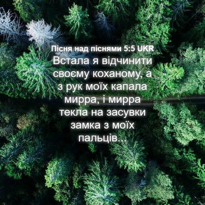 Picture 04 - Пісня над піснями 5:5 UKR - Встала я відчинити своєму - Bible Verse Picture