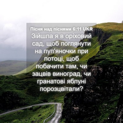 Picture 04 - Пісня над піснями 6:11 UKR - Зійшла я в оріховий сад, - Bible Verse Picture