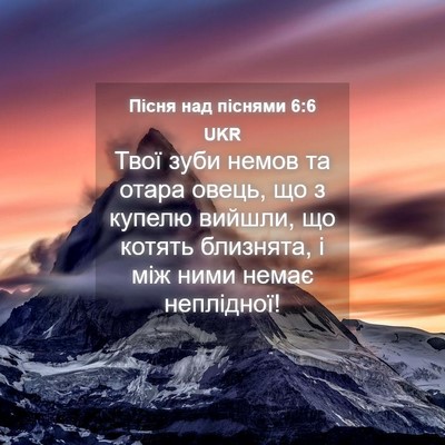 Picture 04 - Пісня над піснями 6:6 UKR - Твої зуби немов та отара - Bible Verse Picture