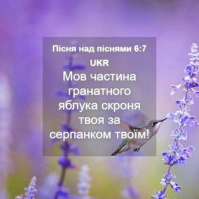 Picture 04 - Пісня над піснями 6:7 UKR - Мов частина гранатного - Bible Verse Picture