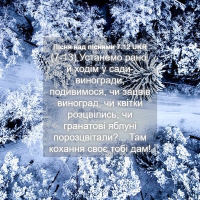 Picture 04 - Пісня над піснями 7:12 UKR - (7-13) Устанемо рано, й ходім - Bible Verse Picture
